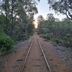 ALT TEXT Railway tracks running straight to the horizon at dusk, the direction set long before you thought to question it