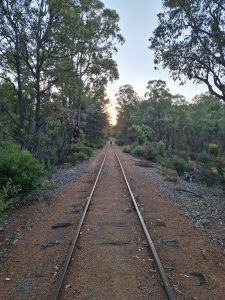 ALT TEXT Railway tracks running straight to the horizon at dusk, the direction set long before you thought to question it